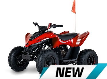 CFMOTO CFORCE 110 EFI